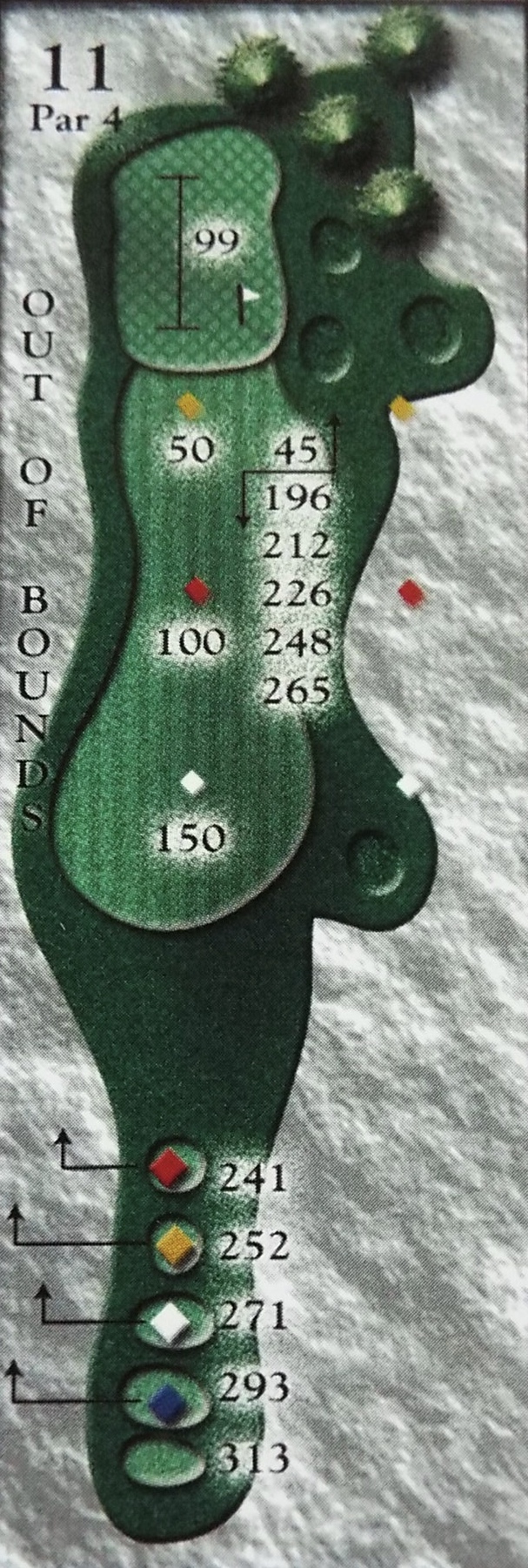 Hole11