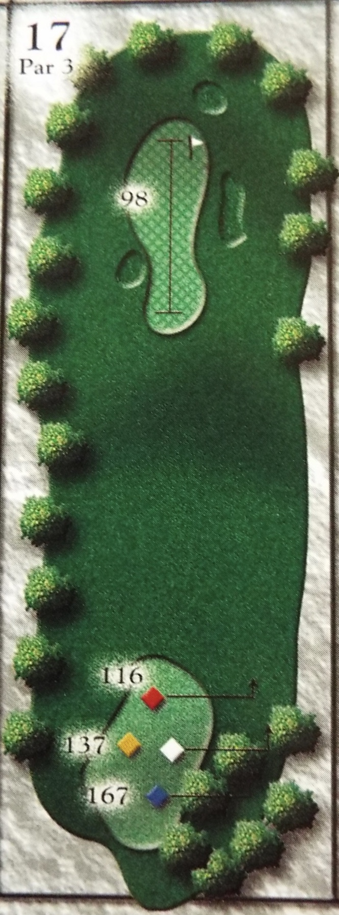 Hole17